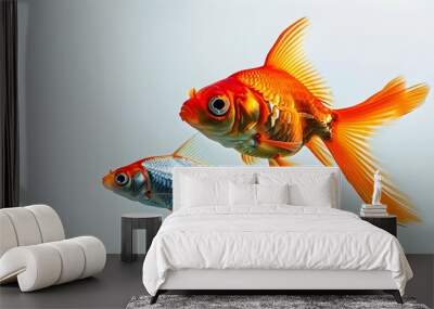 Vibrant orange goldfish and silver fish harmonizing against a minimalist backdrop, showcasing the exquisite beauty of aquatic life Wall mural