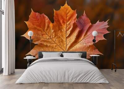 Vibrant tapestry of autumn maple leaves in brilliant hues of red, orange, and gold Wall mural