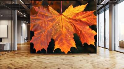 Vibrant tapestry of autumn maple leaves in brilliant hues of red, orange, and gold Wall mural