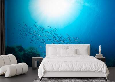 school of fish and sun light Wall mural