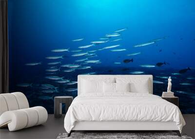 shoal of fish Wall mural