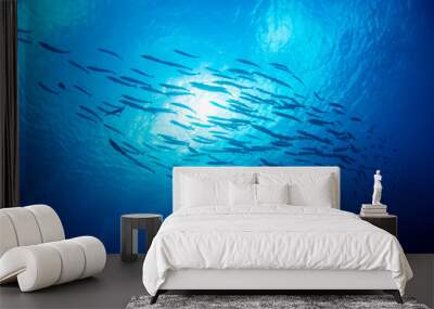 underwater world and school of fish Wall mural