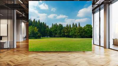 Panorama of big city park Wall mural