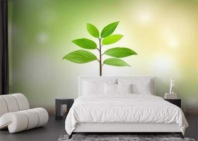 The concepts of plant growth are growing on the fertile soil in nature and morning light. Wall mural