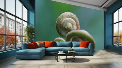 green fern in forest Wall mural