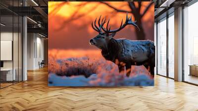 Majestic red deer stag standing proud in a winter landscape illuminated by the golden hues of sunrise Wall mural