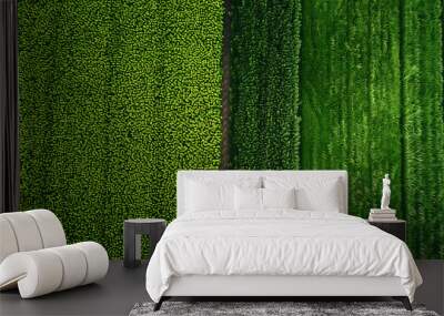 grass meadow Wall mural