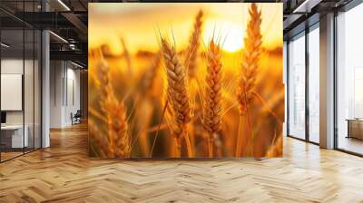 Close up wheat field at golden hour, bathed in warm sunlight, whole grain field. Generative AI Wall mural