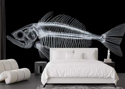 The outline of the fish skeleton, white lines on a black background Wall mural