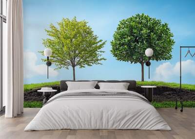 Two trees growing on top of dirt with a green grass background Wall mural