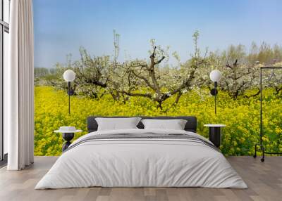 Spring pear flower, rape flower blooming, beautiful pastoral scenery. Wall mural