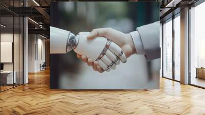 handshake between two people Wall mural