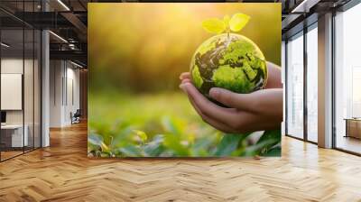 earth in hand Wall mural