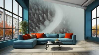 snow covered pine tree Wall mural