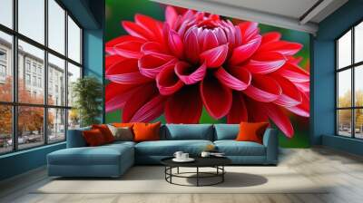 A bright red flower, full of vitality, with layered petals, showing the beauty and vitality of nature. Wall mural