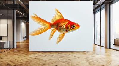 A cute orange fish swam quietly on a white background, showing its colors and detailed scales, giving people a feeling of tranquility and beauty. Wall mural