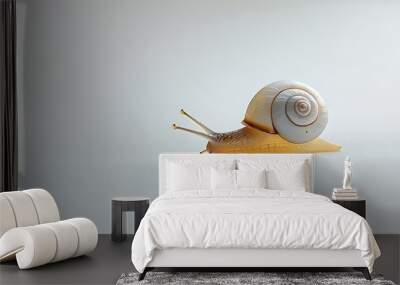 A lifelike little white snail slowly crawls on the soft white background, showing the tranquility and beauty of nature. Wall mural