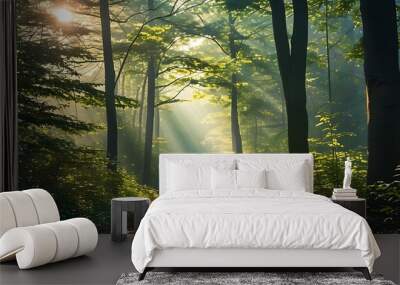 A peaceful forest path, the sun shines soft light through the treetops, creating a dreamy atmosphere suitable for leisurely walks. Wall mural