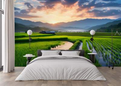 Capture the essence of rice paddies blending with the sky Wall mural