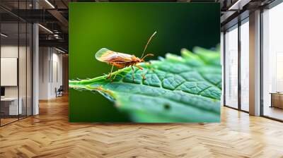 macro of a bug Wall mural