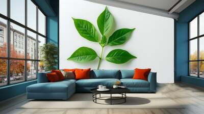 On the soft white background, a green plant leaf lies gently, giving off a natural atmosphere and giving people a sense of tranquility and comfort. Wall mural