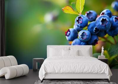 The ripe blueberry fruits are clearly visible against a green background, showing a natural harvest. Wall mural