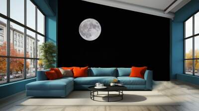 moon Wall mural