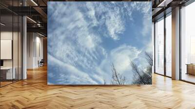 Beautiful sky with nice clouds Wall mural