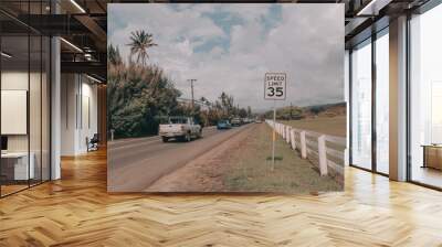 Beautiful road in hawaii, usa (2) Wall mural