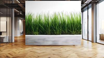 green grass Wall mural