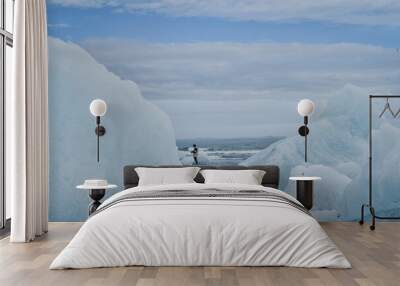 iceberg in the snow Wall mural