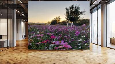 The most beautiful flower garden in the world in Korea Wall mural