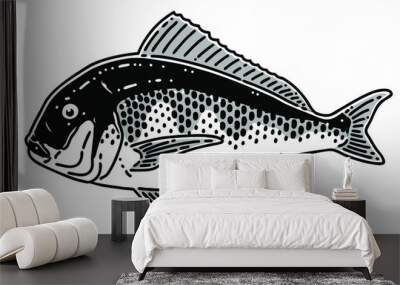 Red sea bream. Black and white vector illustration. Wall mural