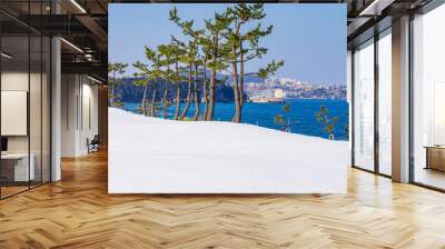 Winter landscape of snowed Gangwon-do East Sea port Wall mural