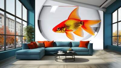 A shimmering goldfish swimming gracefully in a small glass bowl on a white background. Wall mural